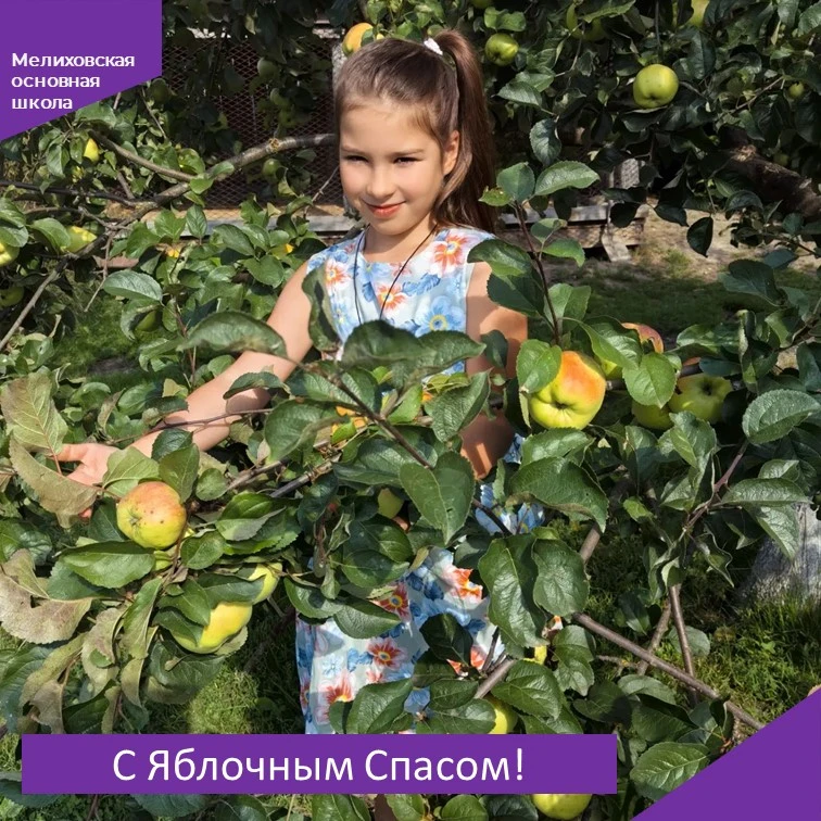 🍎Яблочный Спас — это время благодарности за урожай и время добрых дел.