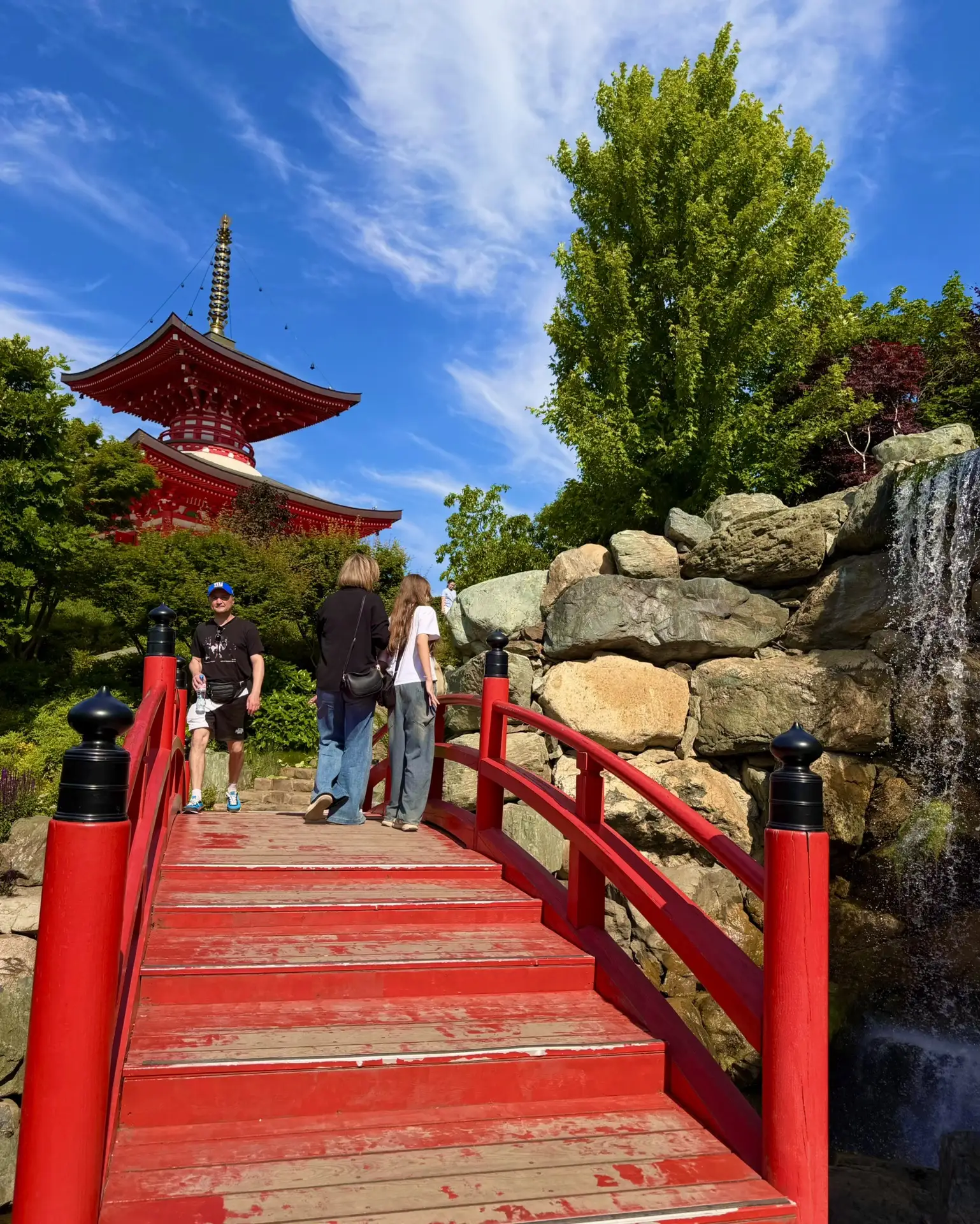 Сегодня в Японском саду ⛩️

Райское местечко, которое с каждым днём всё краше ❤️

До 9-10 утра можно