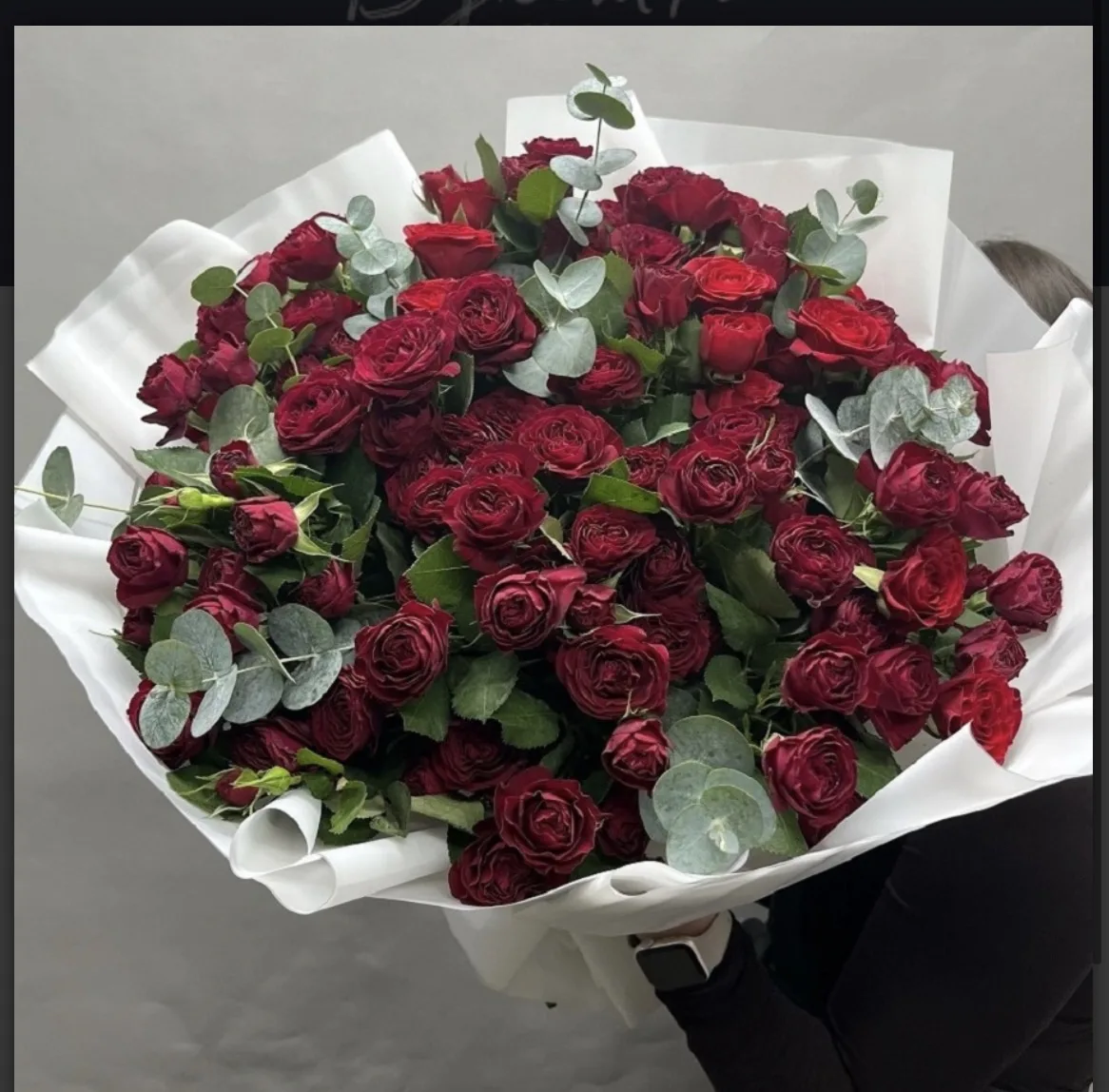 Шикарная кустовая красная Роза🌹