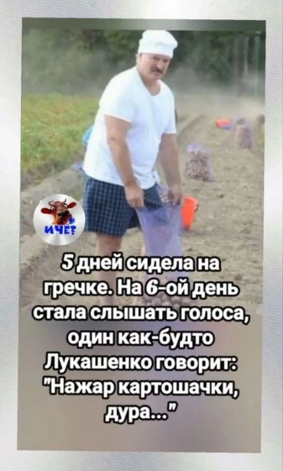 Лукашенко плохому не научит😂👍🏻