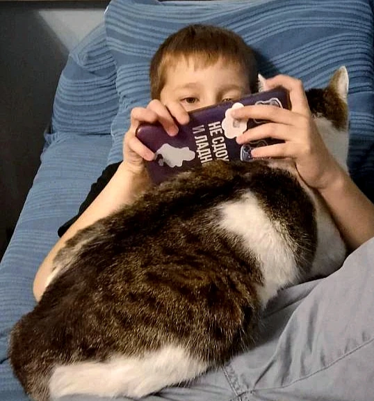 Ребёнка котом придавило😅