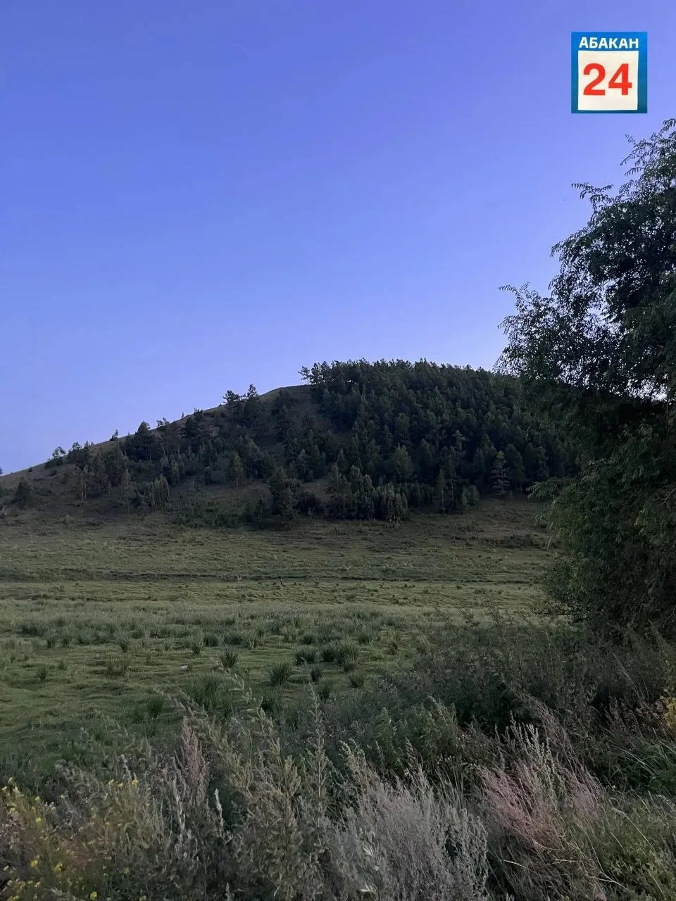 Доброе утро, друзья.