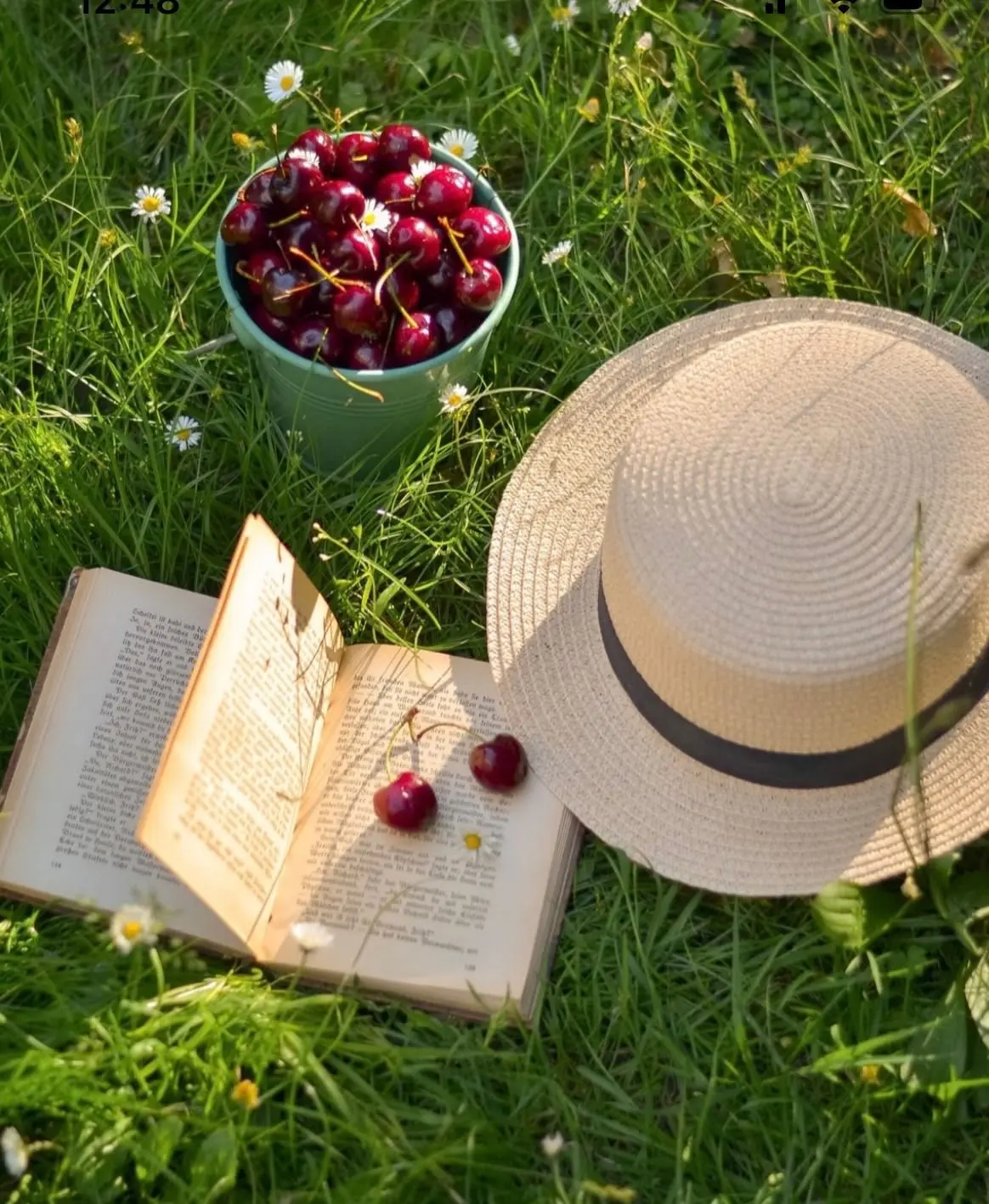 ☀️ Дорогие ребята и родители! ☀️