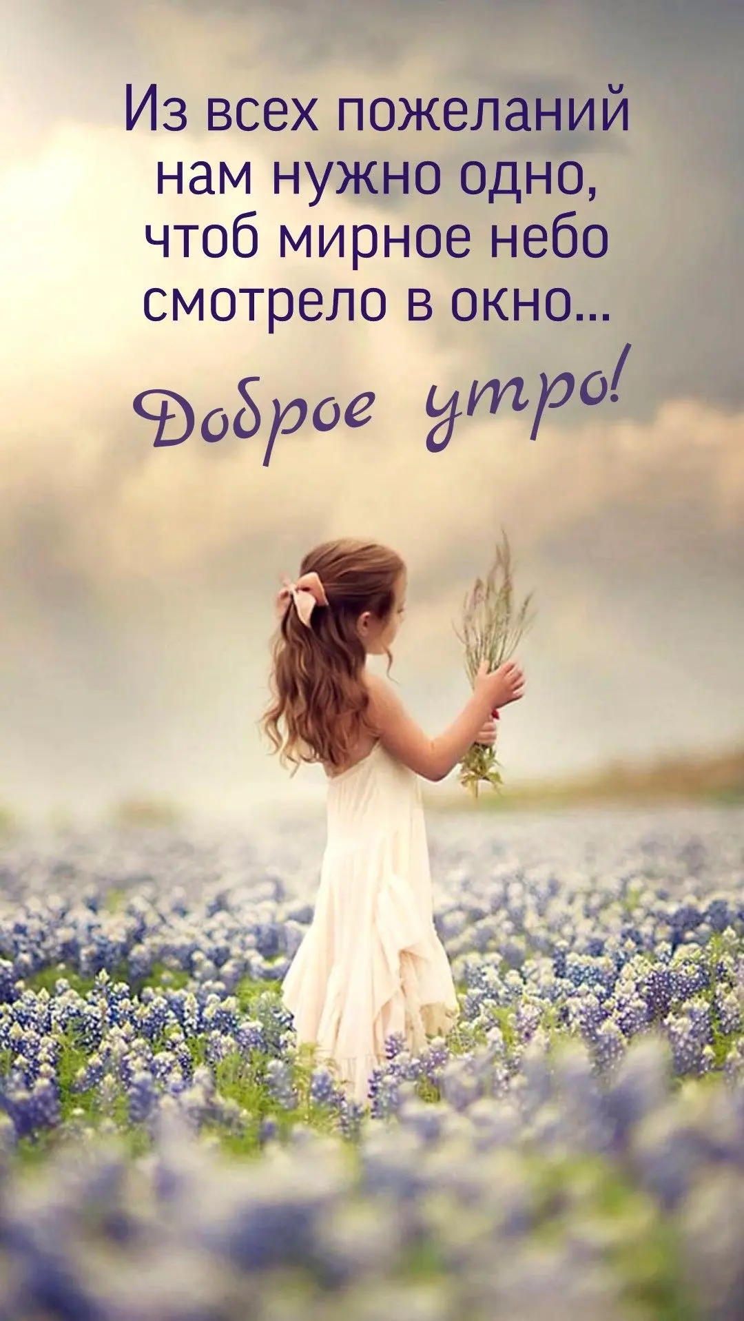 Из всех пожеланий нам нужно одно, чтоб мирное небо смотрело в окно 🙏