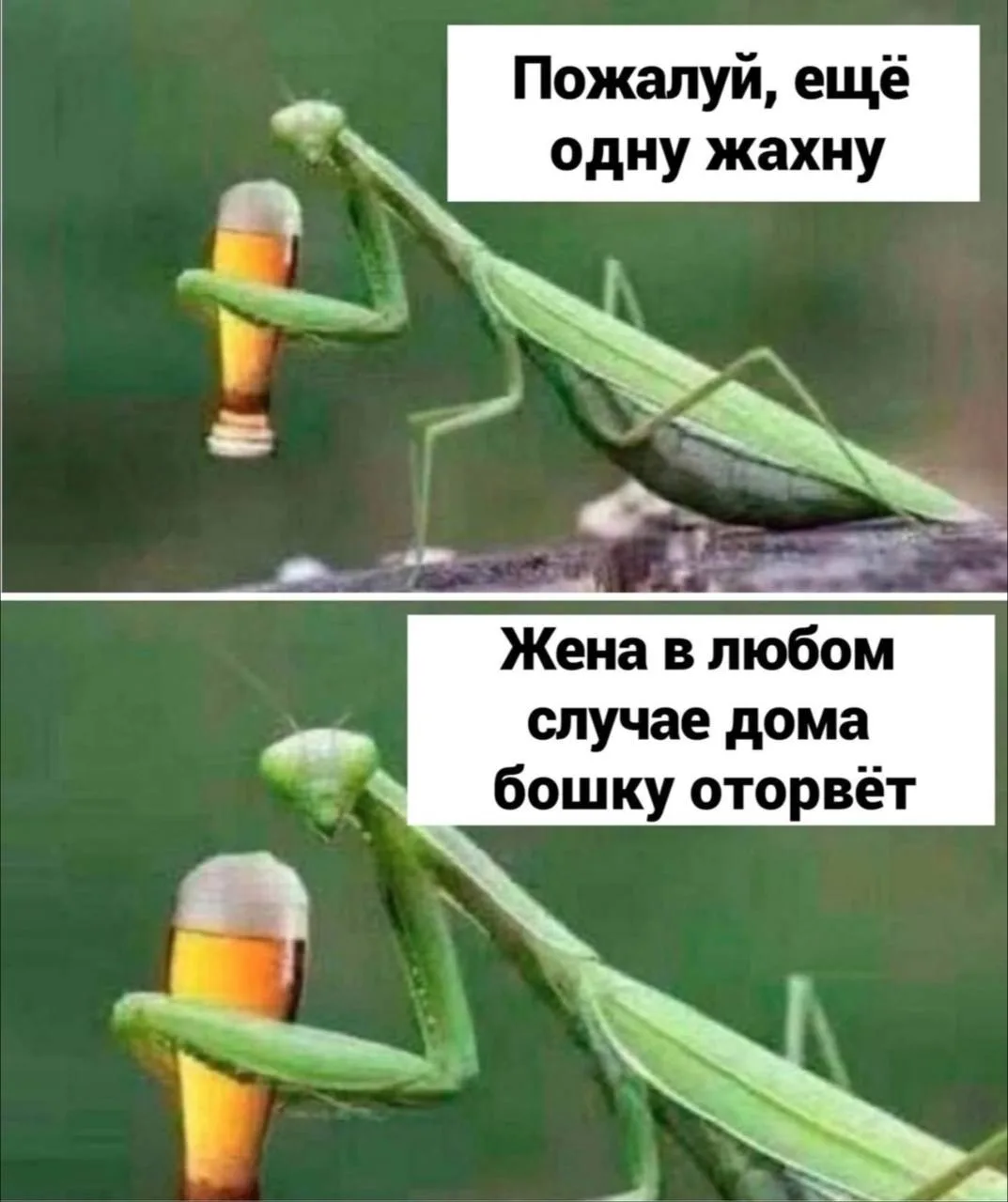 Юмор 24/7 | Подпишись!