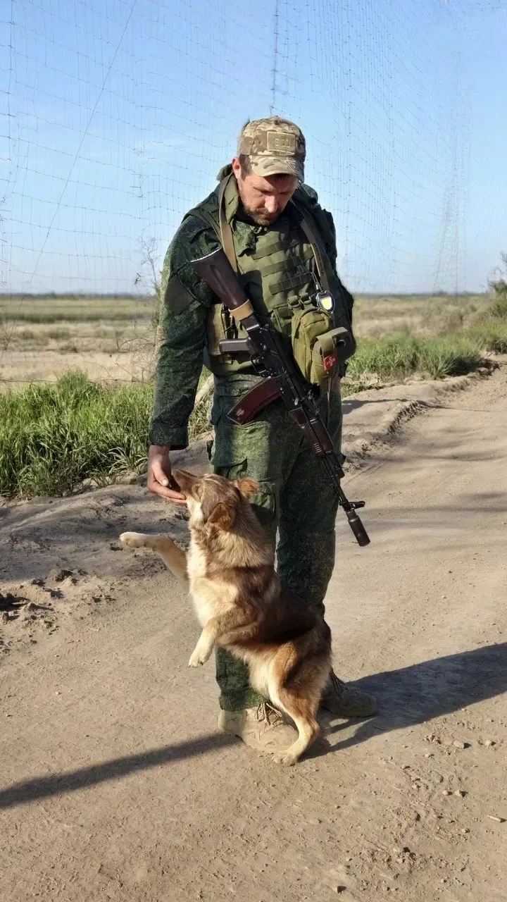 Водитель с позывным "Троцкий" с фронтовым псом,  позывной "ПВОшка"

#бригадаТерек

💡Подпишись на ка
