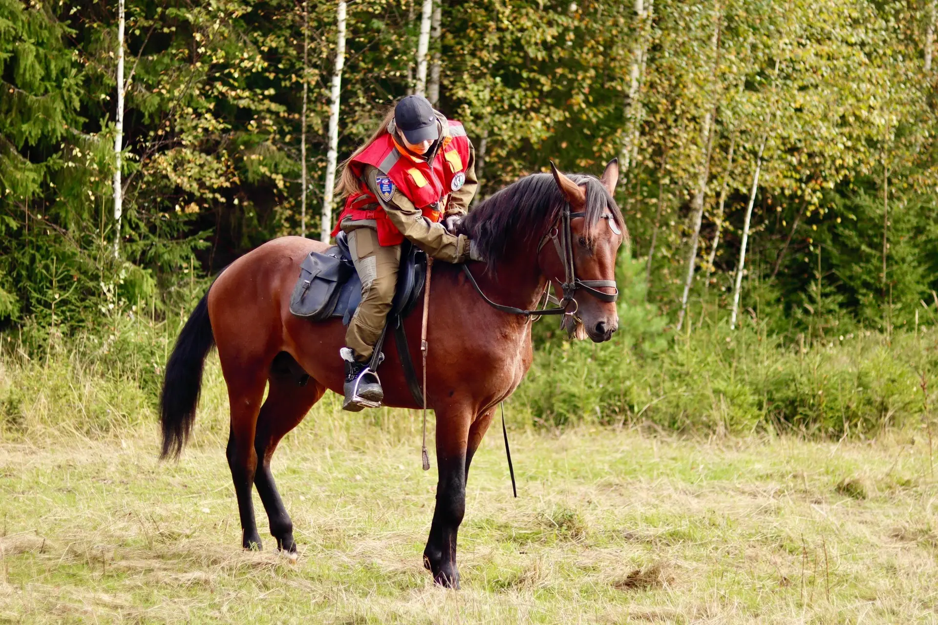 Что-что? Волонтёры «Экоспецназа» на лошадях? Именно так 🐎