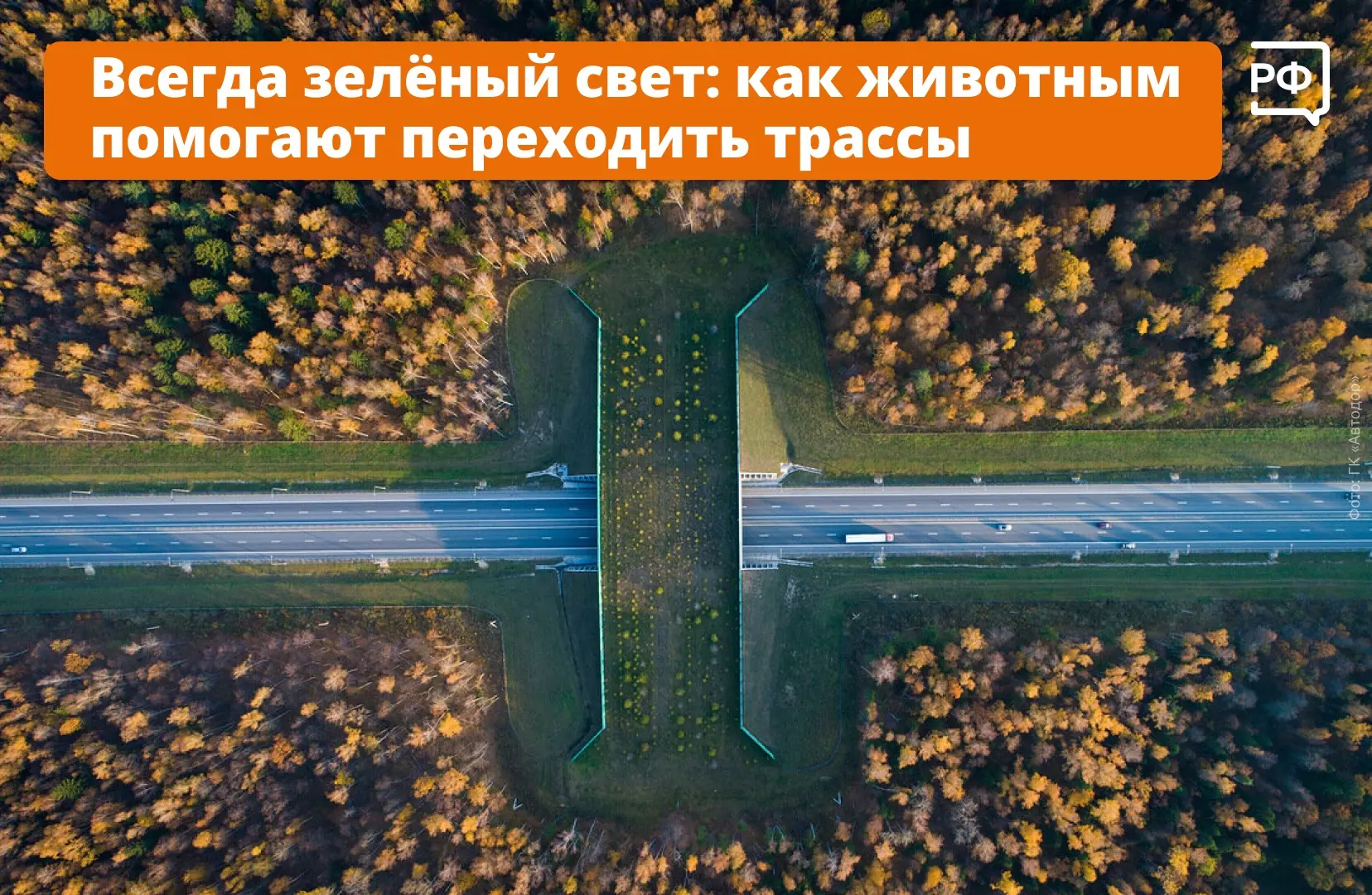 🛣 Мчитесь по трассе — и вдруг видите над ней мост, весь заросший травой и кустами? Зна...