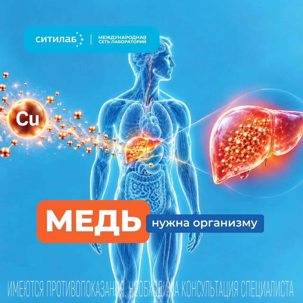 🔬 Медь нужна организму.