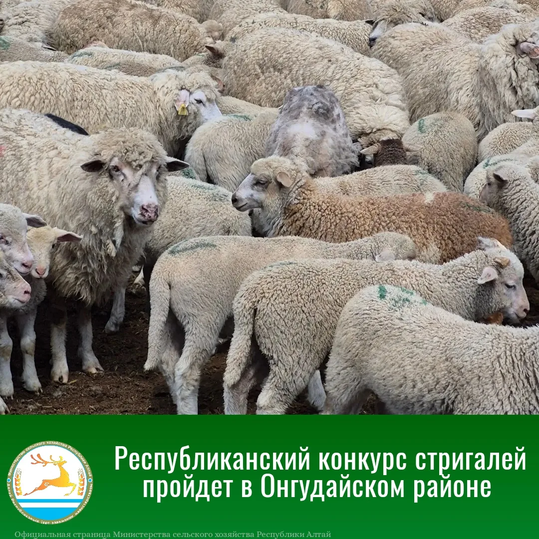 23 июня на базе Горно-Алтайского селекционно-информационного центра в селе Онгудай пройдет республик