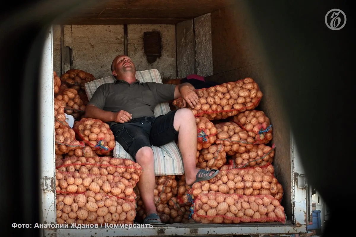 🥔 Картофель стал чемпионом по росту цен.