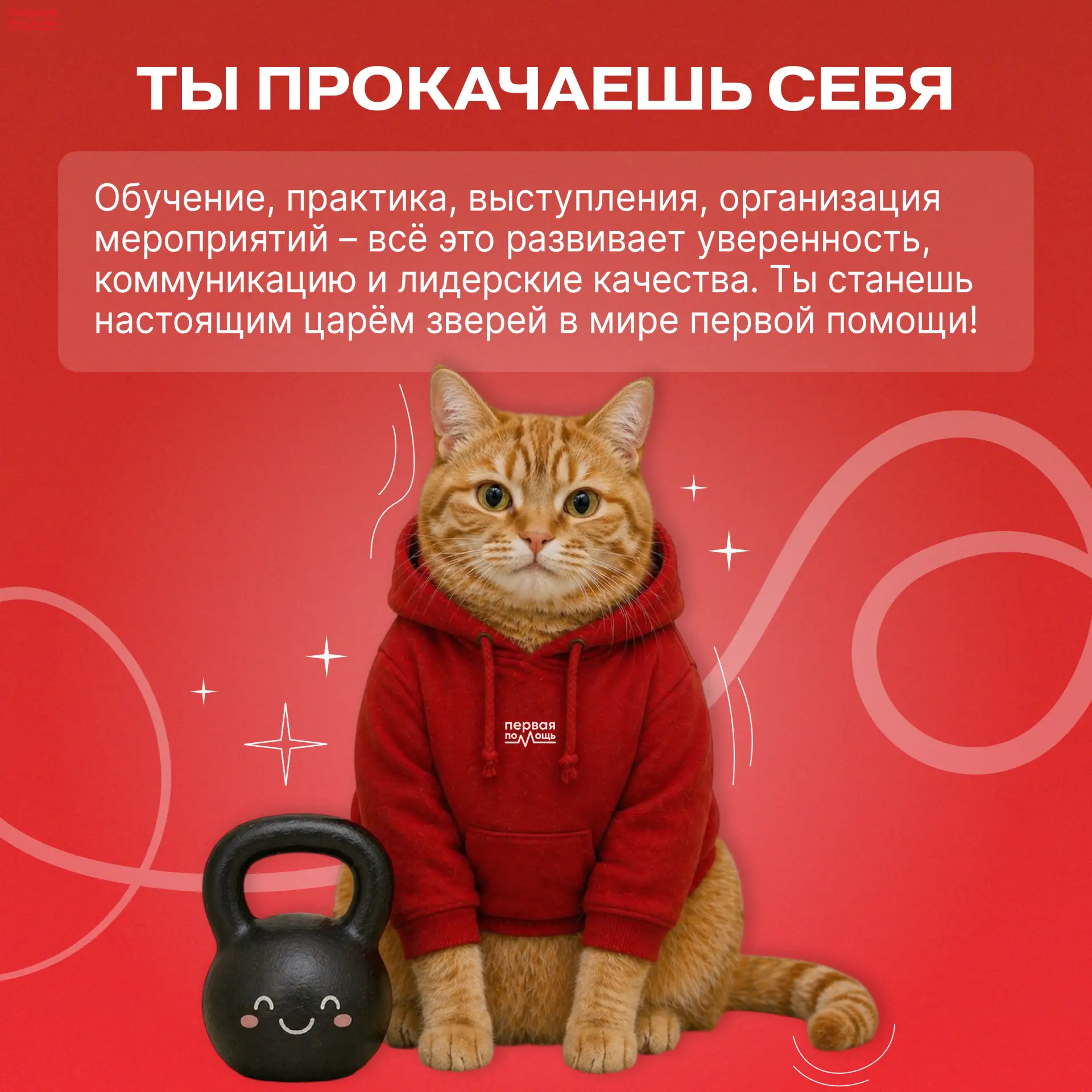 🐾 После проекта «Первые — амбассадоры Первой помощи» ты точно не скажешь, что у тебя лапки!  Решили 