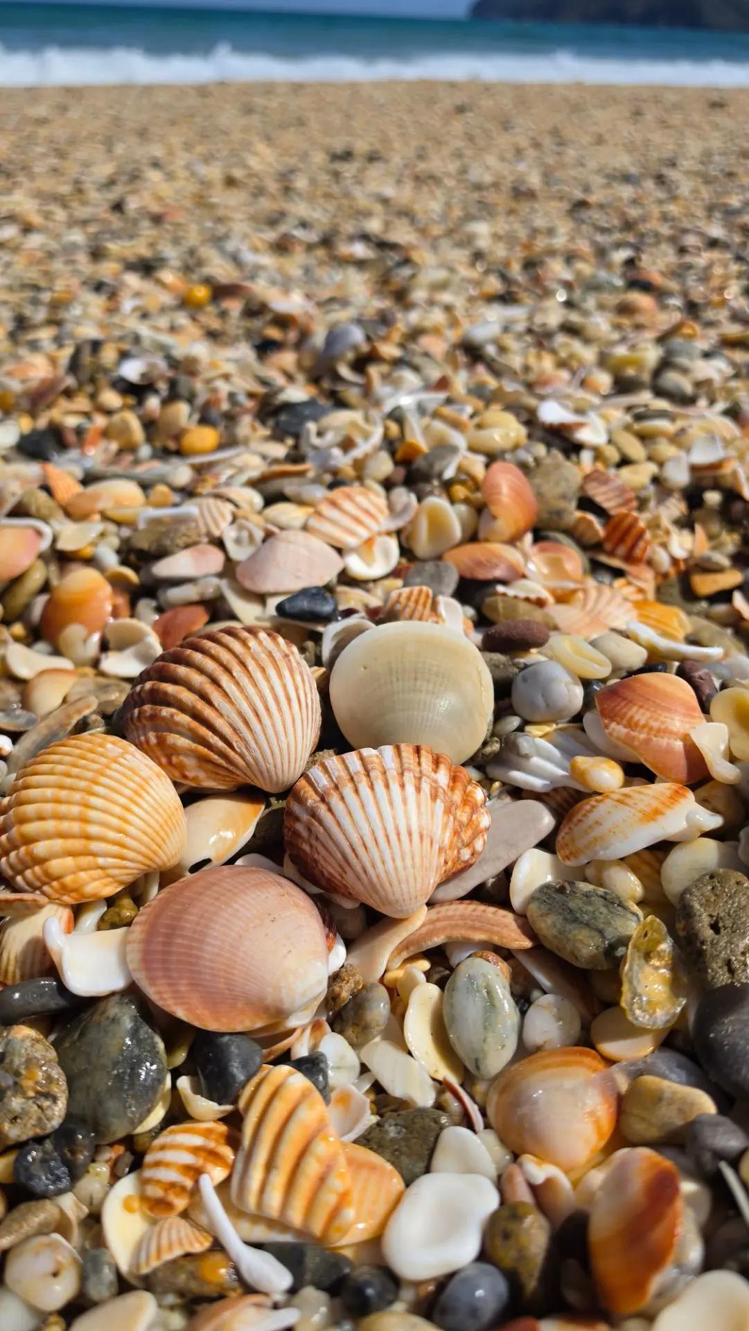 00:10 / Мдик, Марокко 🌊