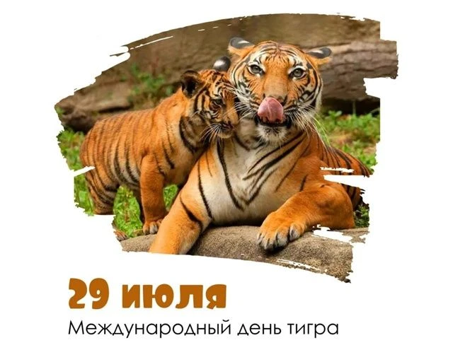 Международный день тигра в детском саду                                                             