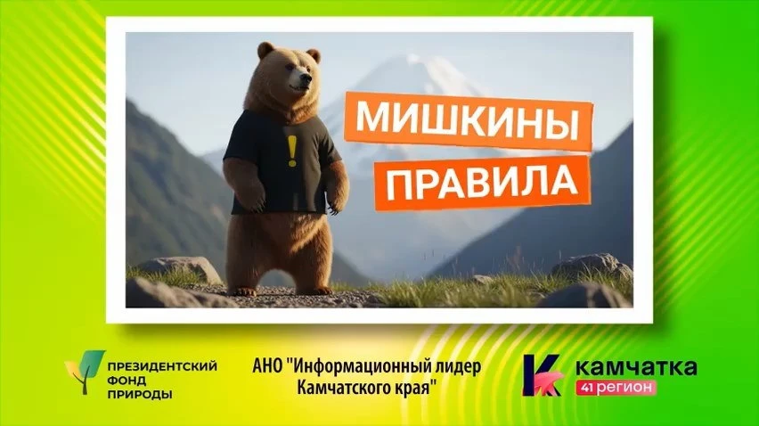 На Камчатке завершился проект «Мишкины правила», который целый год учил нас простой ист...