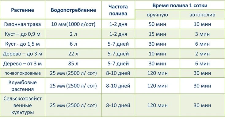 Нормы полива летом