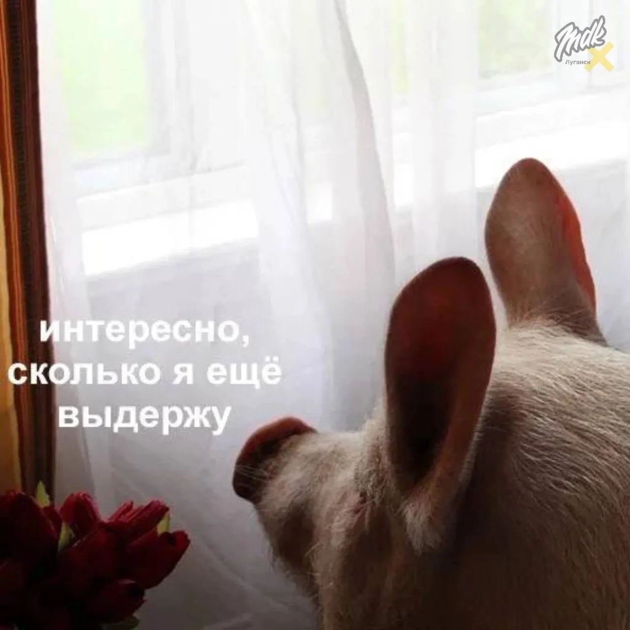 Ужас, что творится!