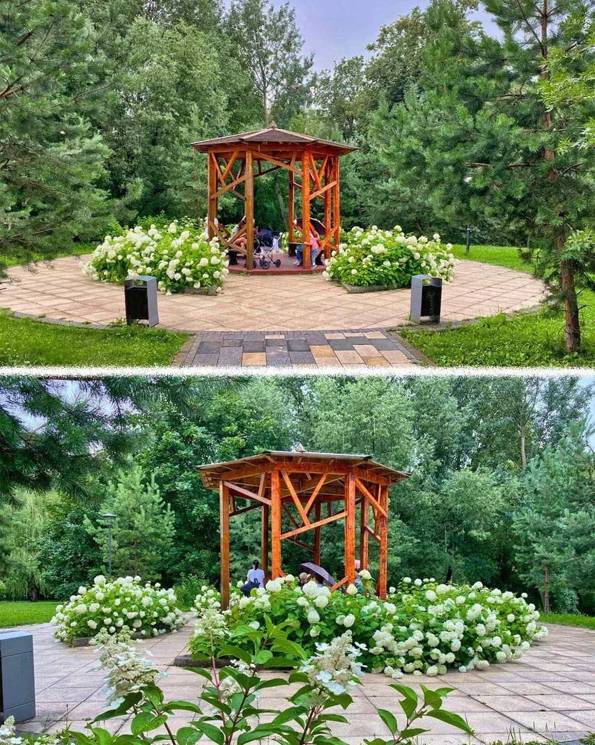 🌳 ПРОГУЛКА ПО «САДУ БУДУЩЕГО» С ЛЕБЕДЯМИ И ВЕКОВЫМИ ДЕРЕВЬЯМИ