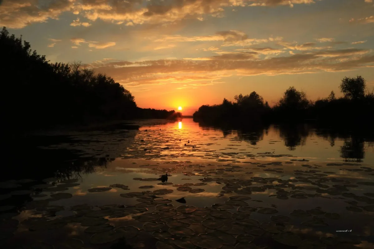 🌅 Замедлитесь у воды