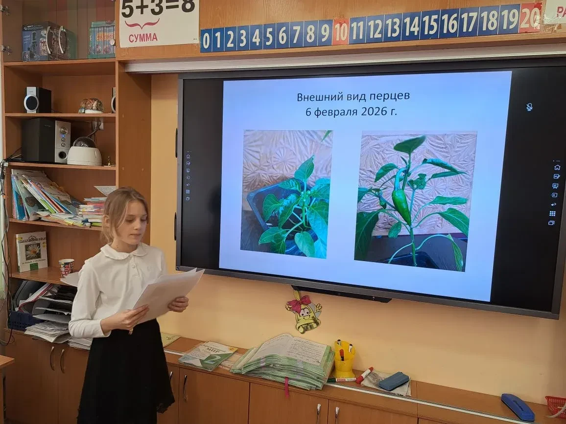 #гордимся   20 февраля в начальной школе прошел школьный этап конкурса "Я - исследователь".   Ученик