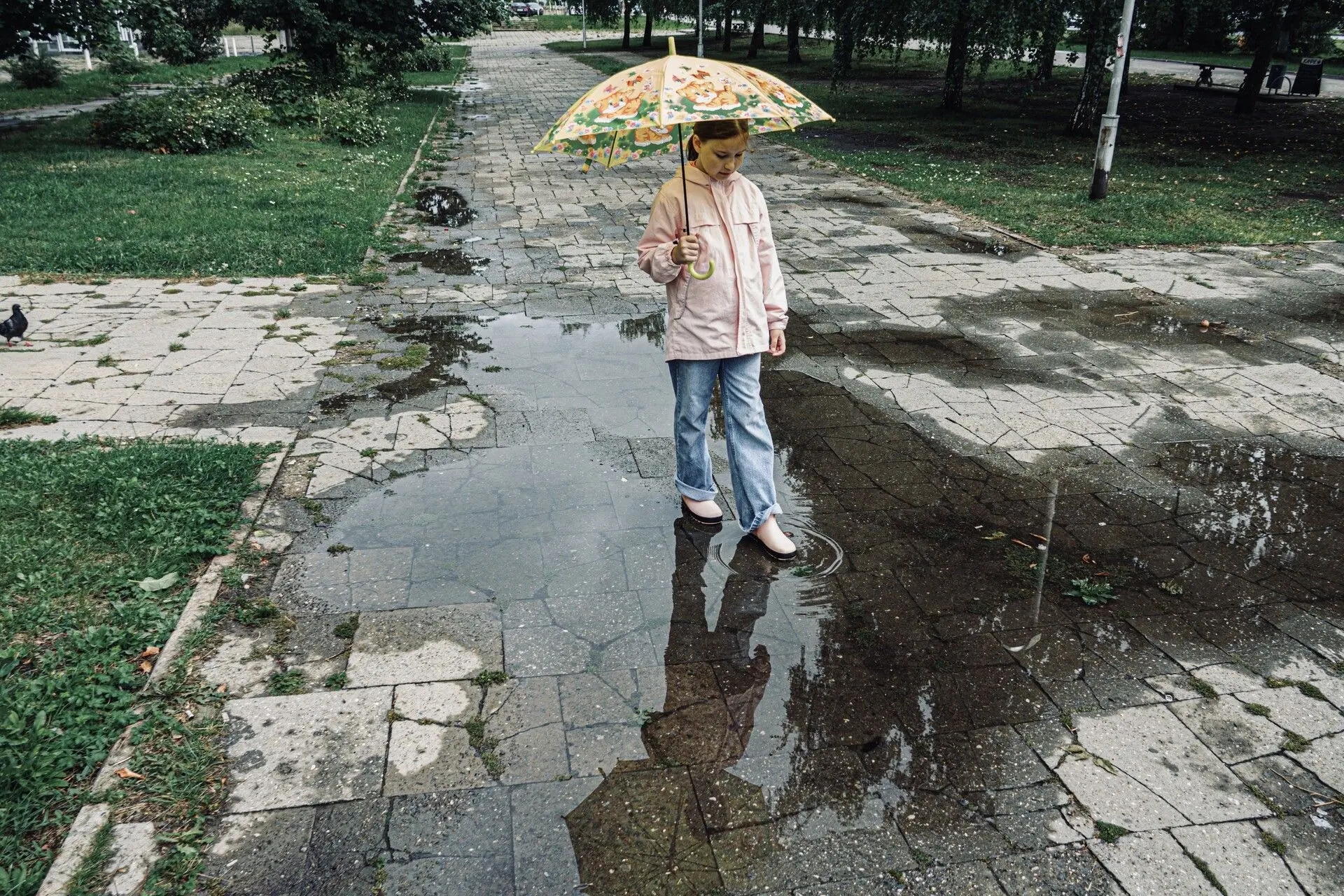 В Челнах завтра обещают небольшой дождь. Прогноз погоды на 19 июня.☔️

В Набережных Челнах завтра ут