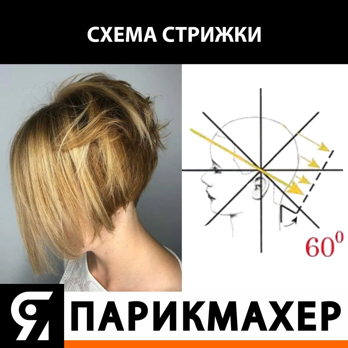 im-prof.com - это приложение уже стоит в телефоне каждого парикмахера, стилиста, колори...
