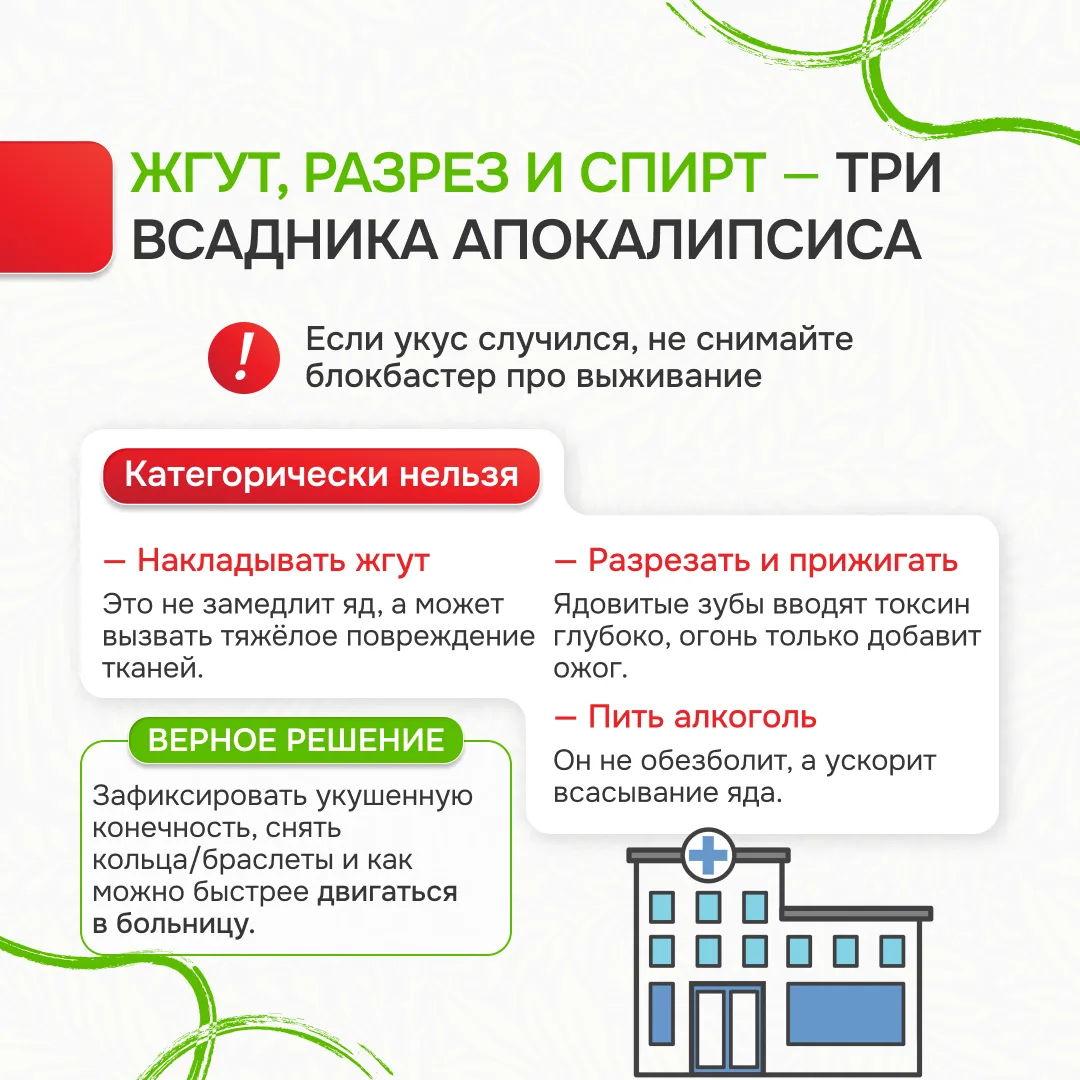 Памятка «Лес без происшествий»: Ваш гид по безопасному отдыху на природе Лес – это удивительное мест
