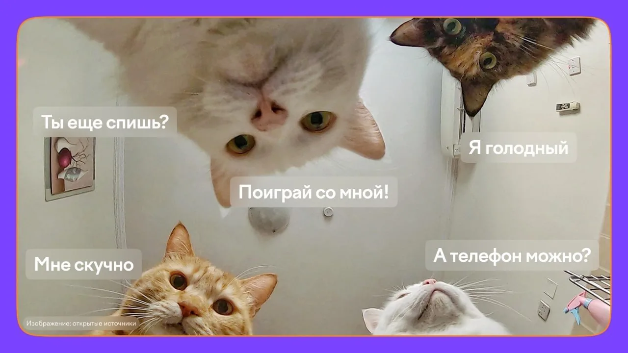 🍨 Ну как ваши каникулы? Еще не устали «отдыхать»?