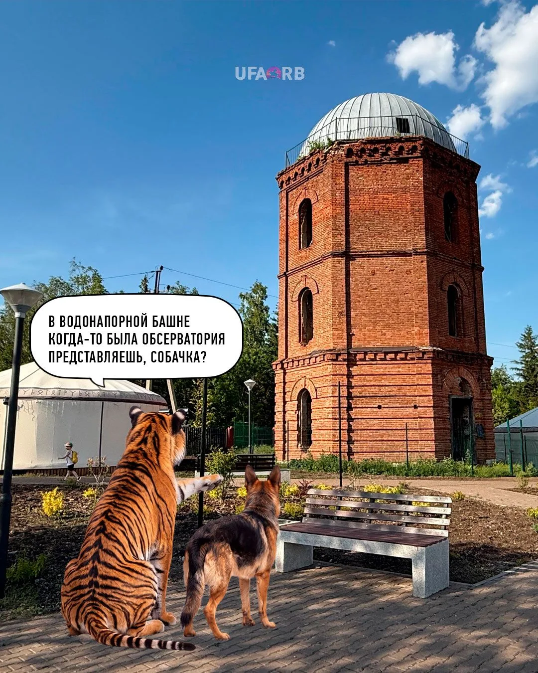 Вот такая херня, собачка