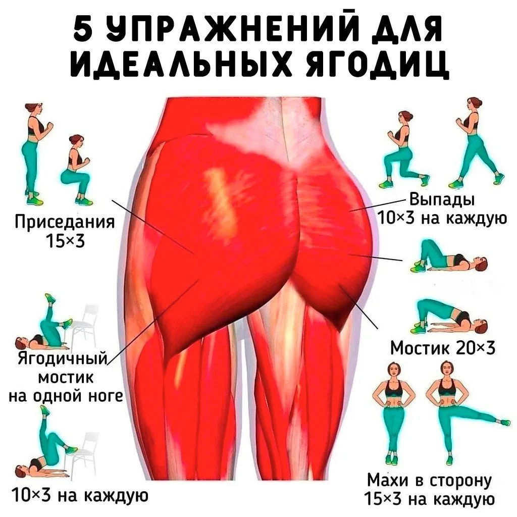 Объявим сегодня день попы? Как вам идея? Все правила на картинке