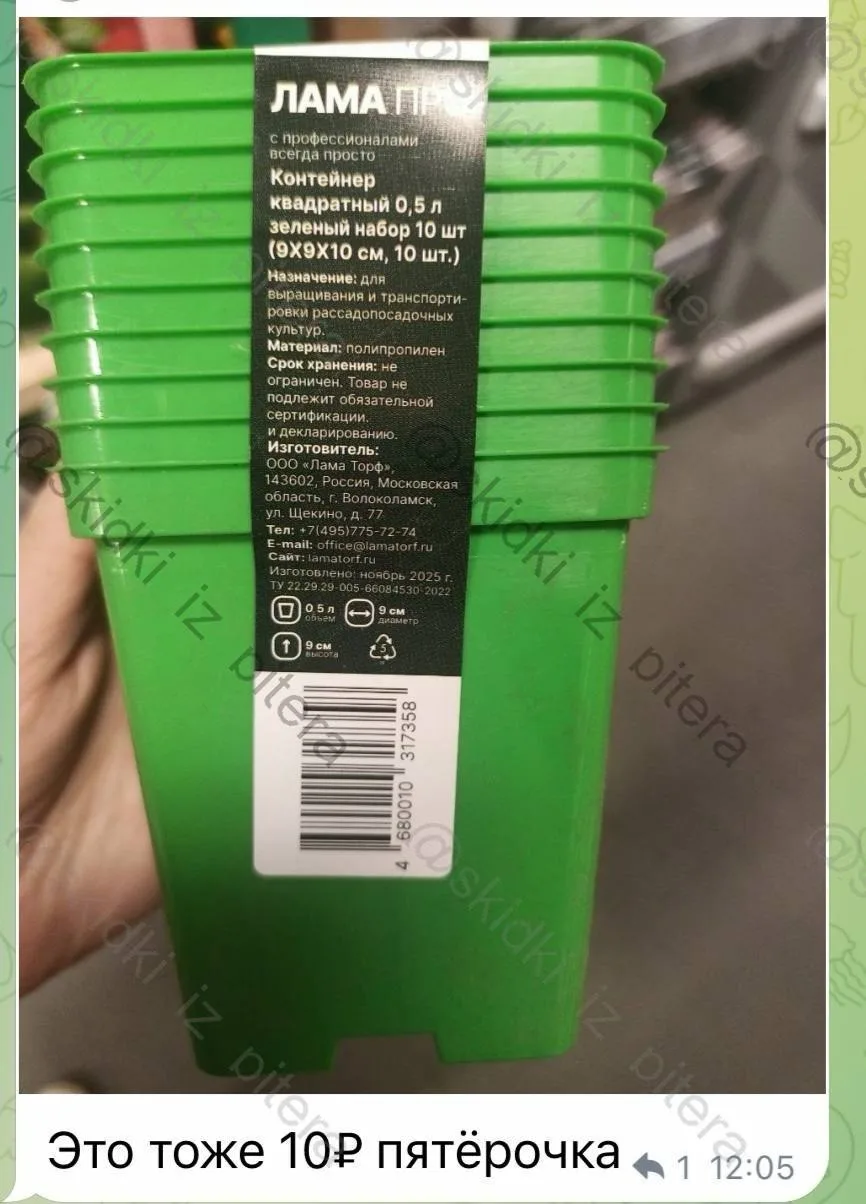 ⁣⁣⁣⁣⁣🛒Пятёрочка