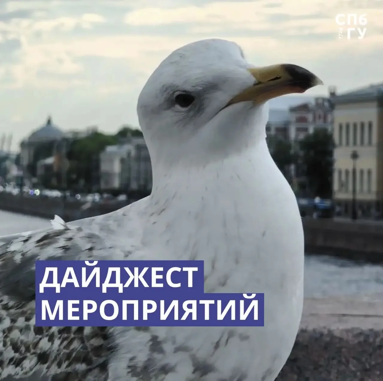 💯Лето уже тут как тут, и мы за ним! Подборка наших классных мероприятий, на которых то...