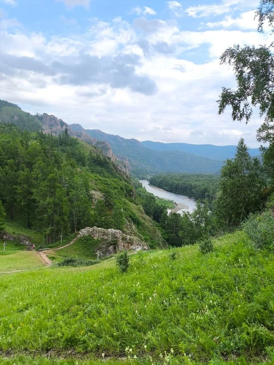Тропа предков закрыта — на территории комплекса заметили медведей 🐻🚷