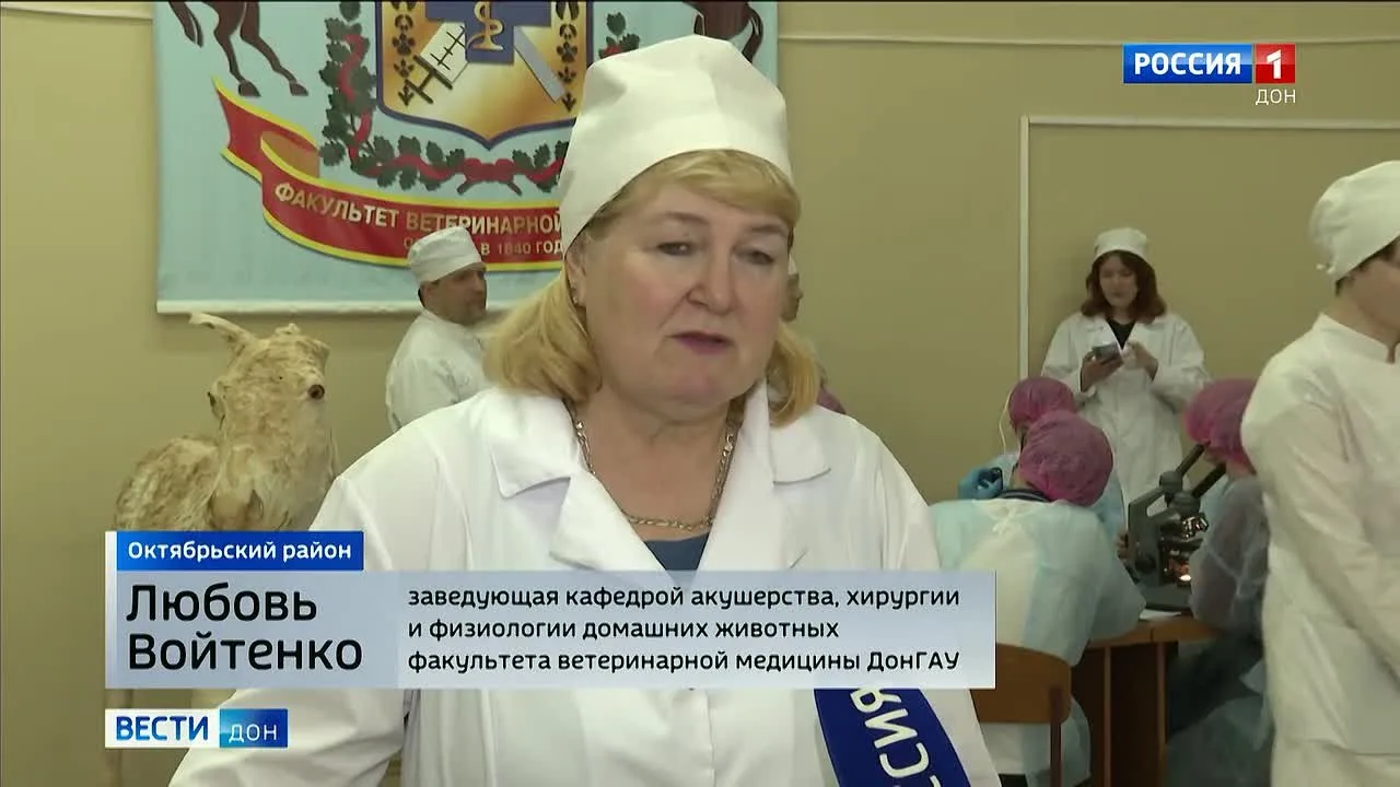 Видео: https://vk.ru/video-128248569_456260911