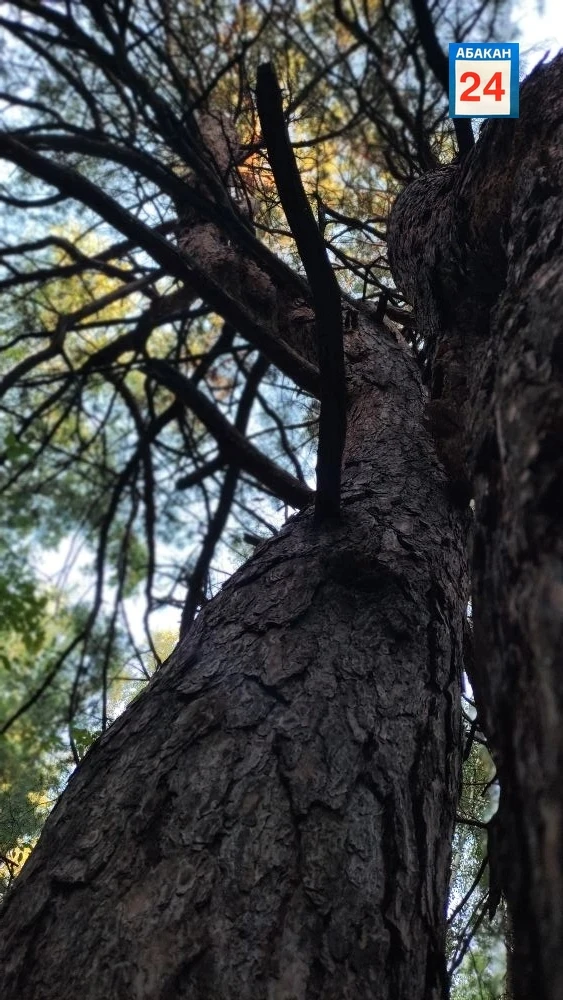 Друзья, доброе утро 🍂