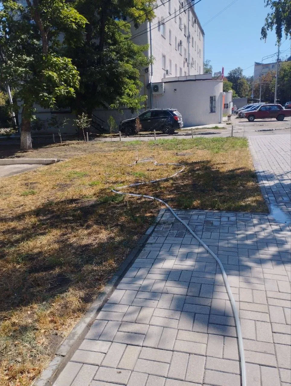 Люди в смятении: воды нет по городу, а траву жёлтую и засохшую решили сегодня полить