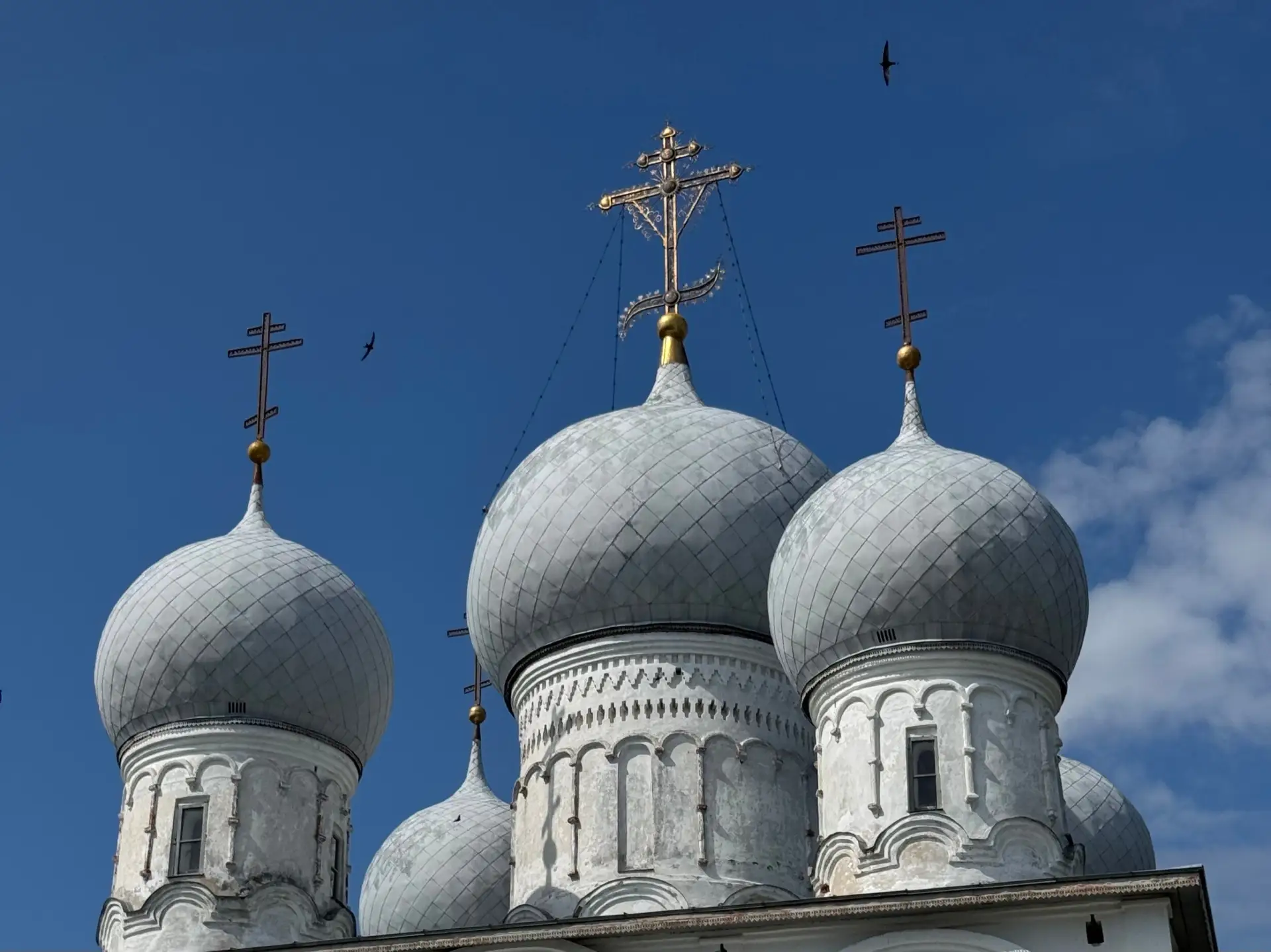 Доброе утро! 
Сегодня днём в Вологде: +23° +25° 

Облачно с прояснениями. Кратковременный дождь, гро