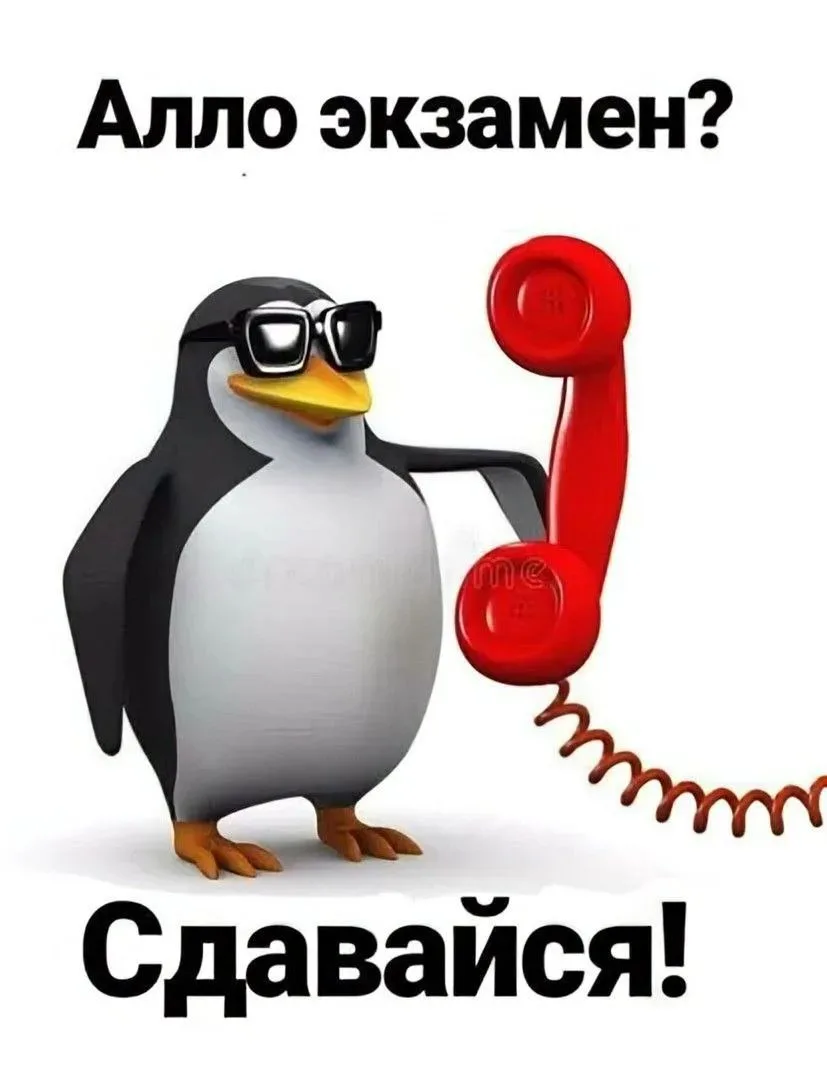 ОГЭ и ЕГЭ уже близко! 🎯