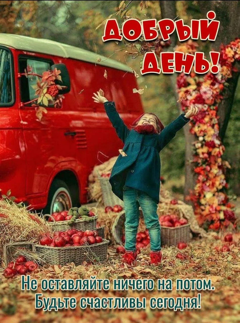 Понравилась открытка? Оставьте, пожалуйста, реакцию 🩷