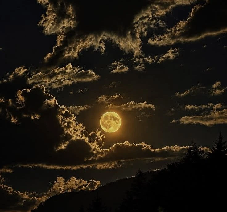 Доброй ночи! 🌙