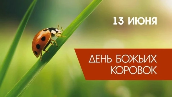 🐞 День Божьей Коровки: маленький символ большой удачи! 🐞 

13 июня — День Божьей Коровки! 🥰 
Этот