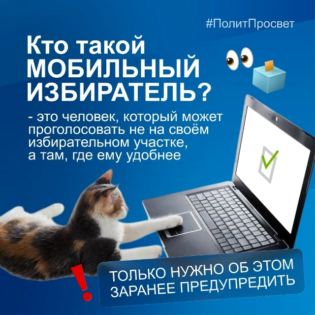 А что, если голосовать можно там, где удобно?
