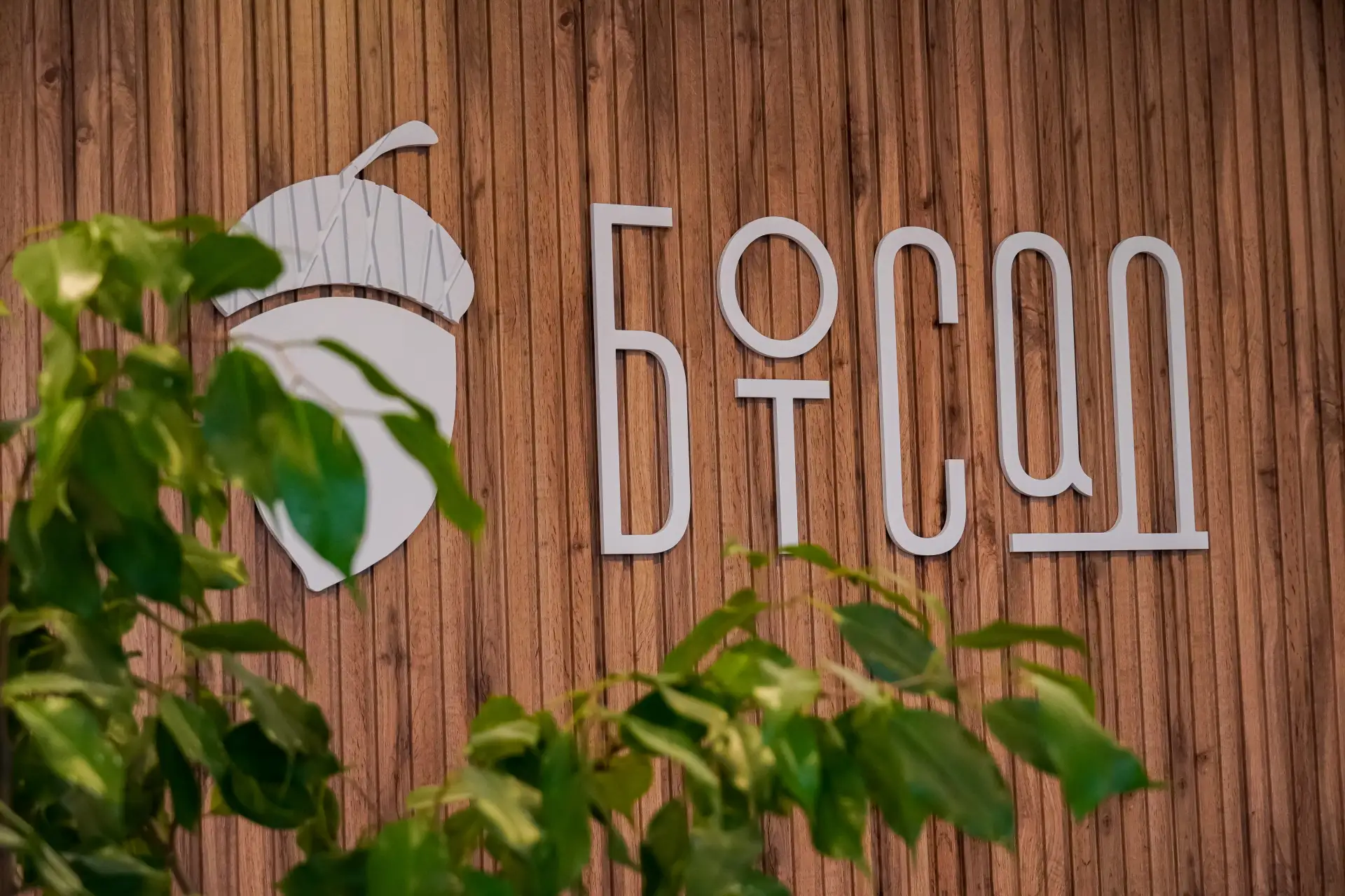 Спешим сообщить, что с 16 мая 2026 года Ботсад СГУ для посетителей работает по летнему ...
