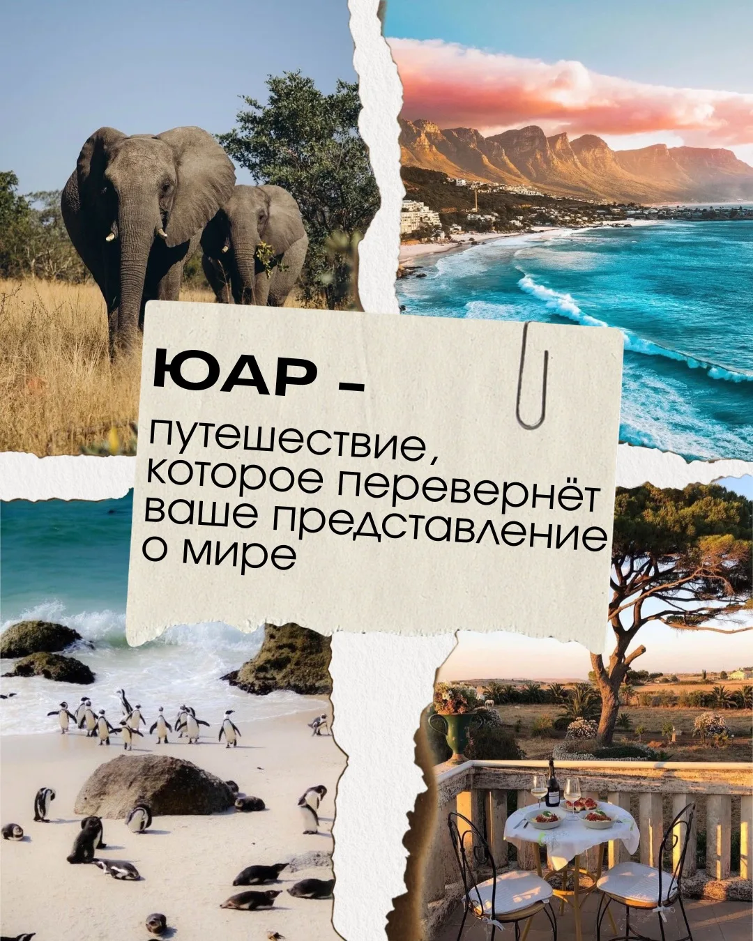 ЮАР - путешествие, которое меняет восприятие мира 🌍
 Здесь в одном туре сочетаются: океан, мегаполи