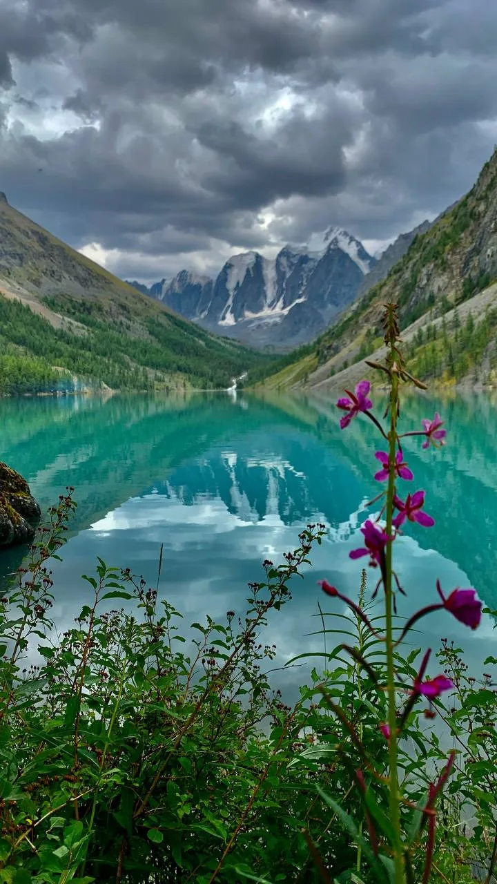 Озера, в которых вода светится изнутри😊