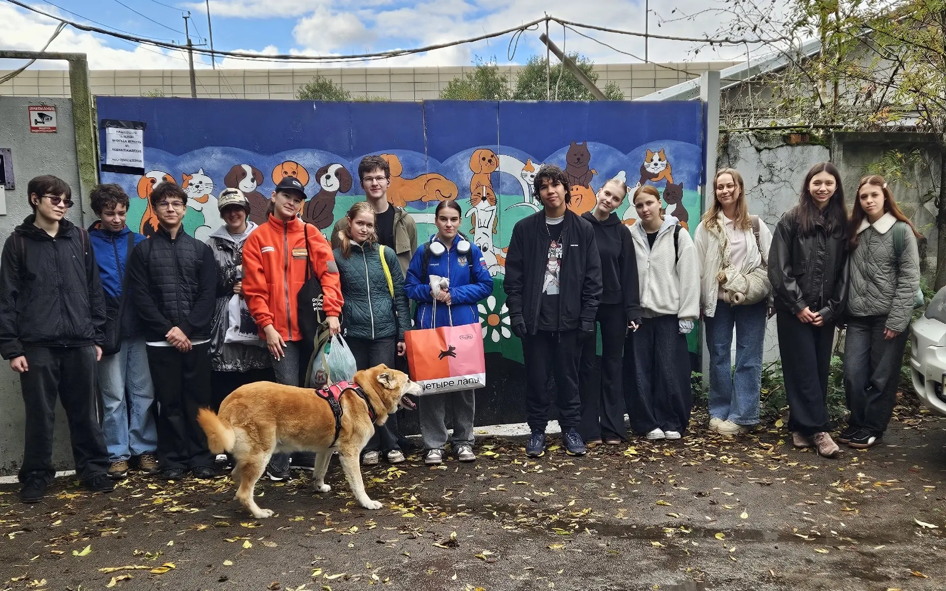 Выходные Добро.Центра #Водинголос прошли в приюте «Ржевка» 🧡