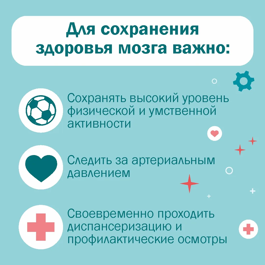 Здоровье головного мозга: что нужно контролировать

Здоровье головного мозга во многом зависит от со