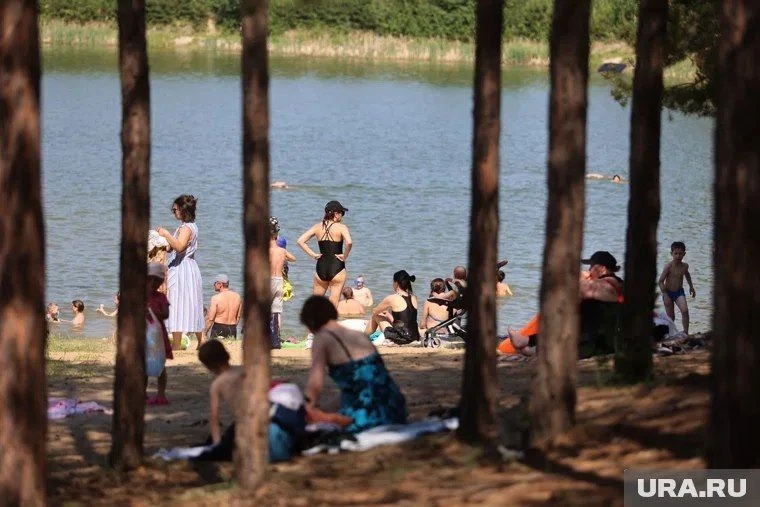 Три базы отдыха на Голубых озерах планируют соединить в Кургане.