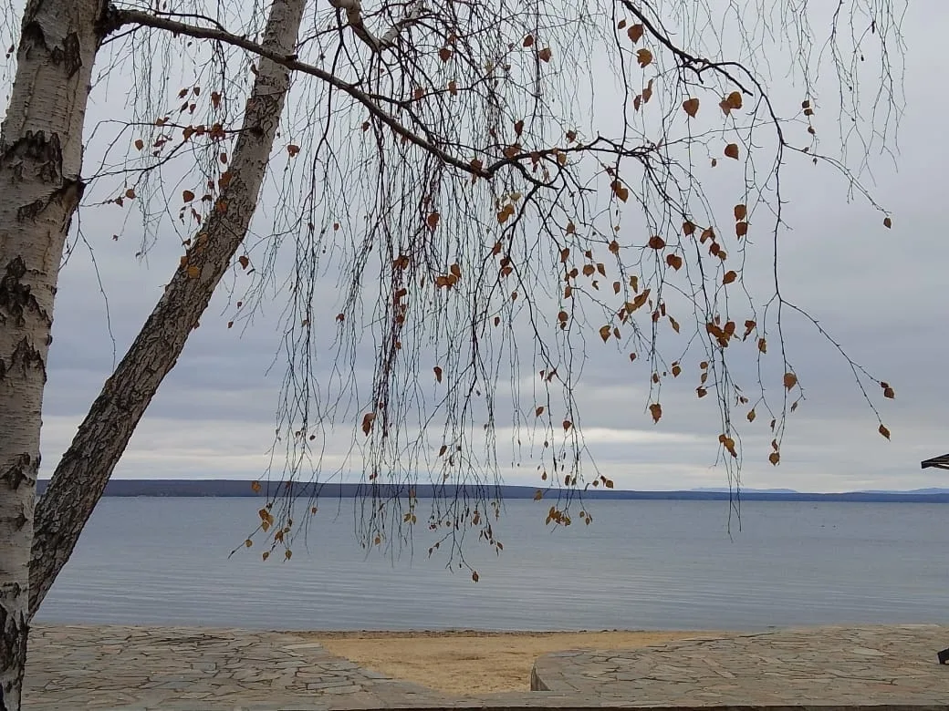 Присылайте Ваши фото в "Предложить пост"