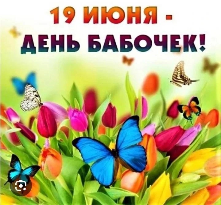 🦋🦋🦋Какой красивый праздник- день бабочек! Посвящен тому, чтобы обратить внимание на проблему сохр